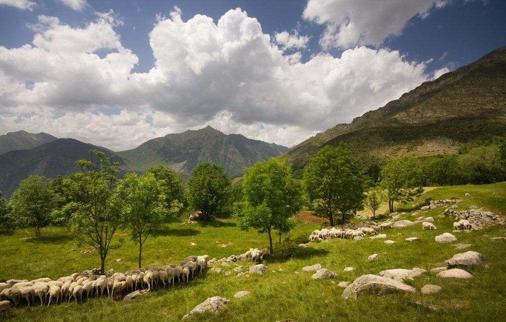 Фото Hostal El Bouquet