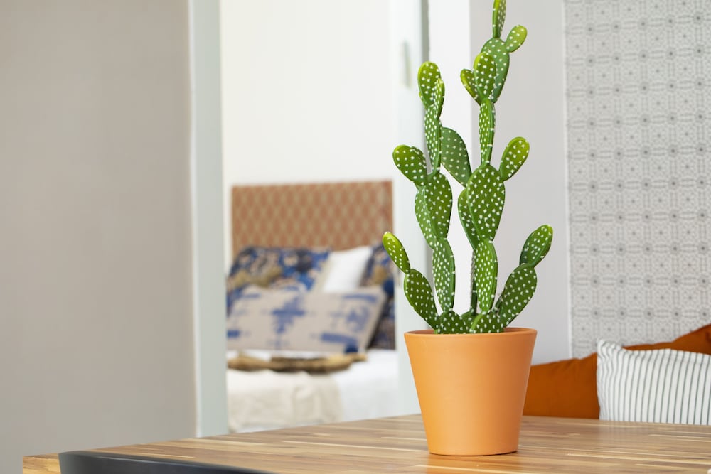 Фото AmazingApartment W Views of Achziv Beach