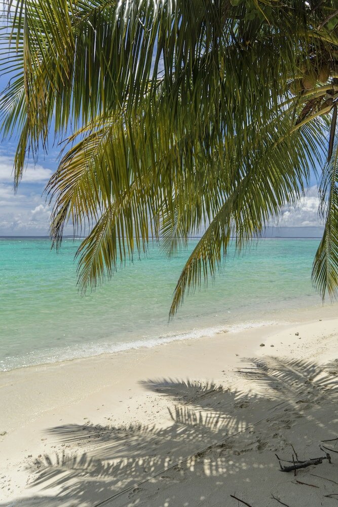 Фото Palm Rest Maldives