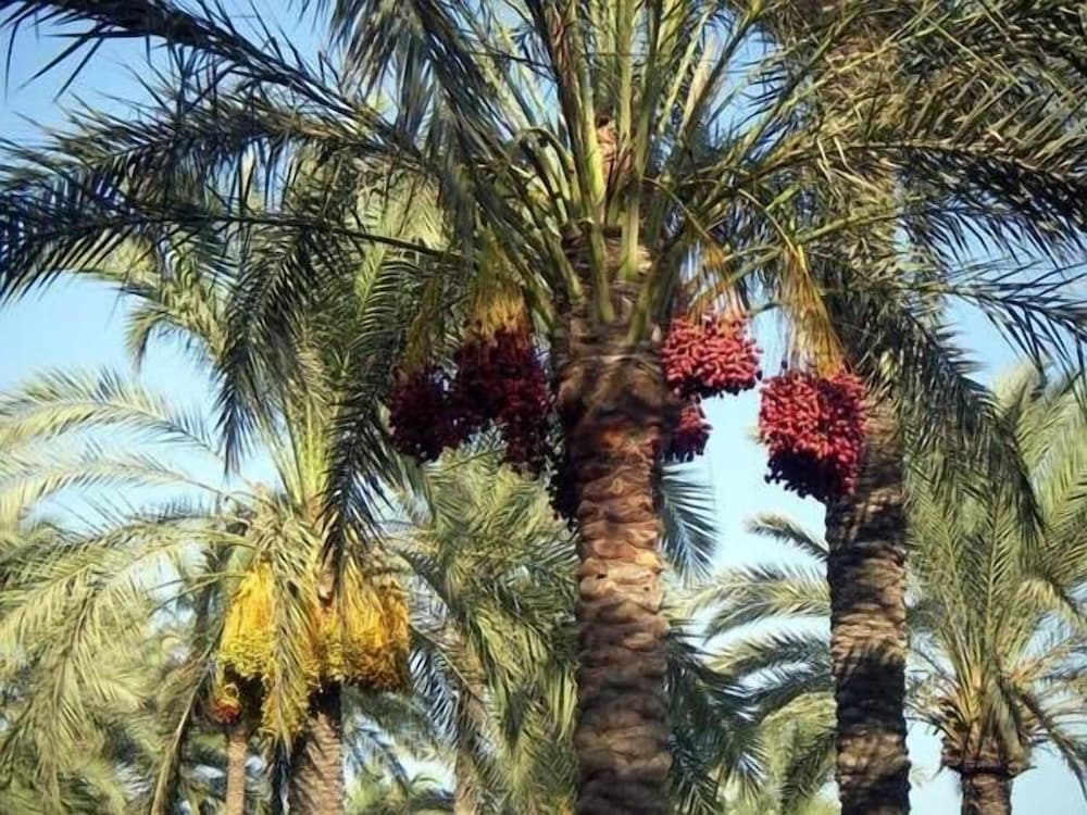 Фото Villa Le Tre Palme