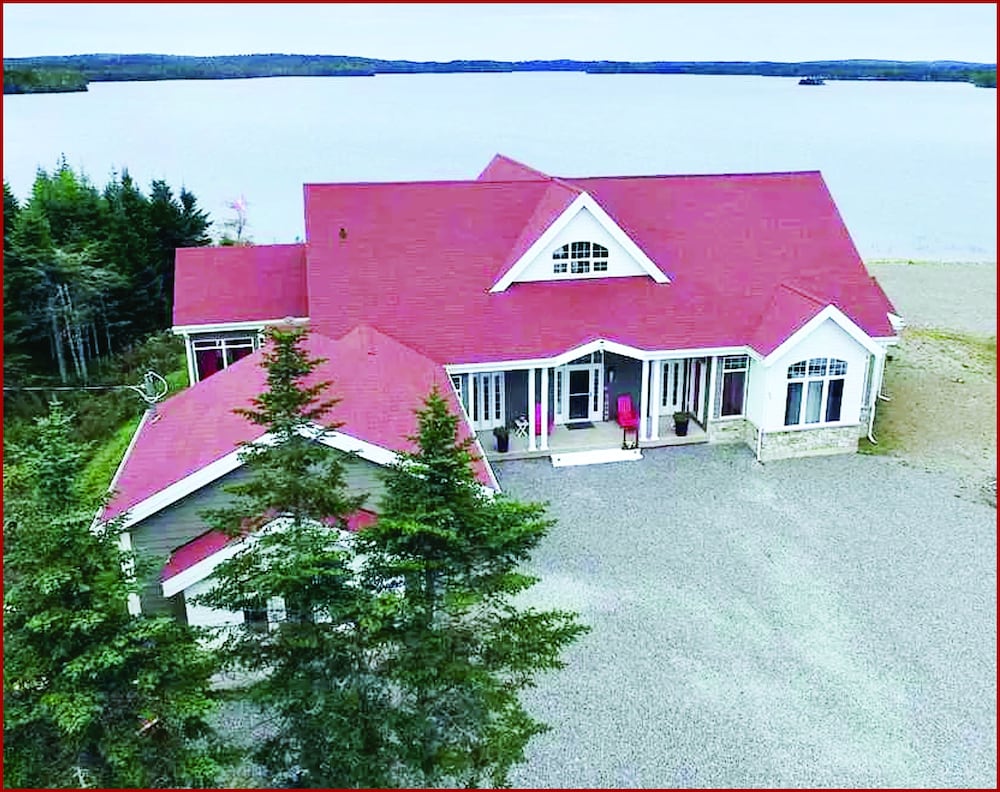 Фото The Cozy Fox