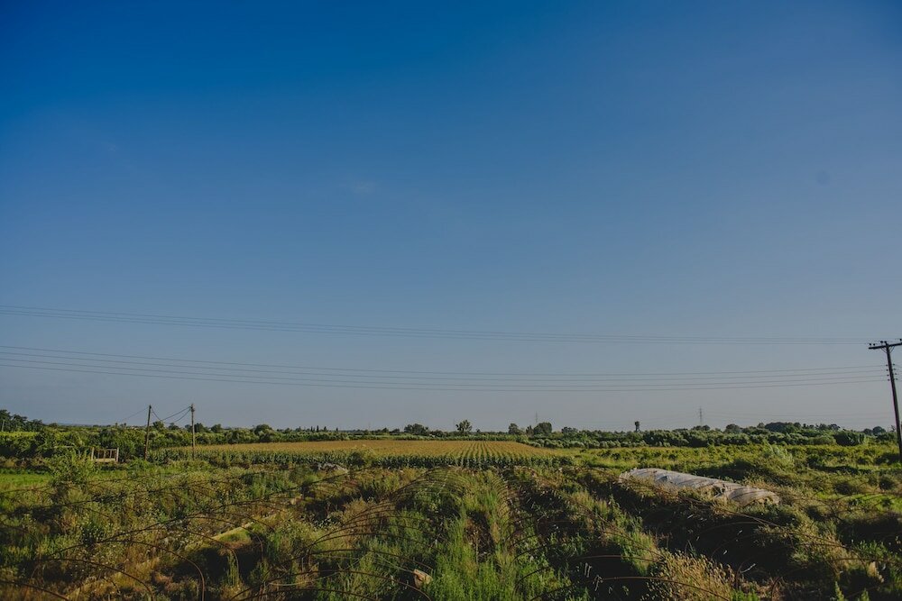 Фото Orangia Ecohosting Farm