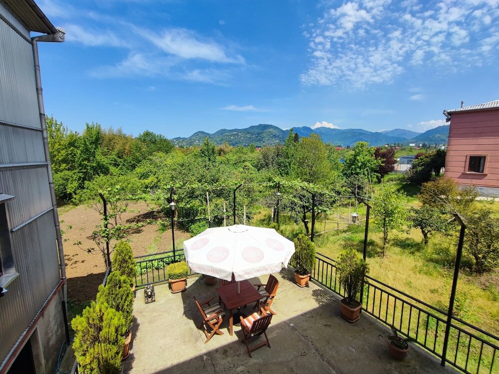 Фото Hotel Botanica