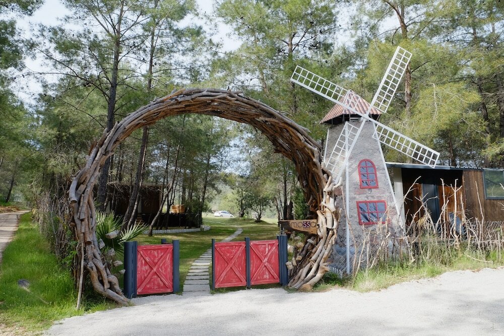 Фото Mossa Afkule