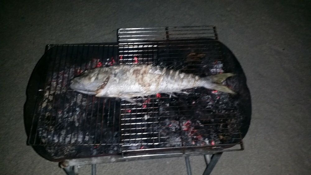 Фото Reposo View