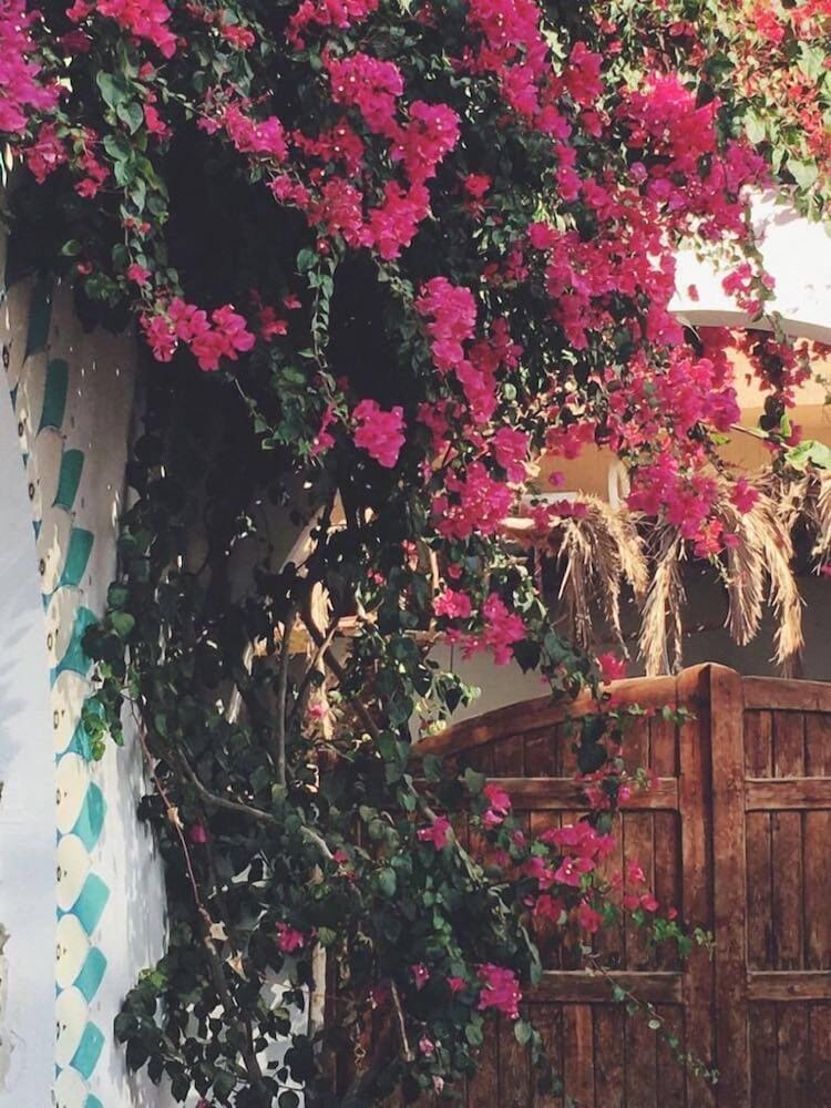 Фото Sunrise Dahab Camp