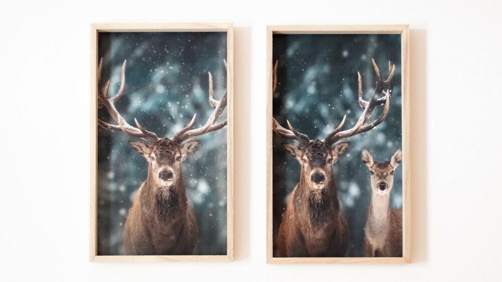 Фото Italianway - Mulino 5