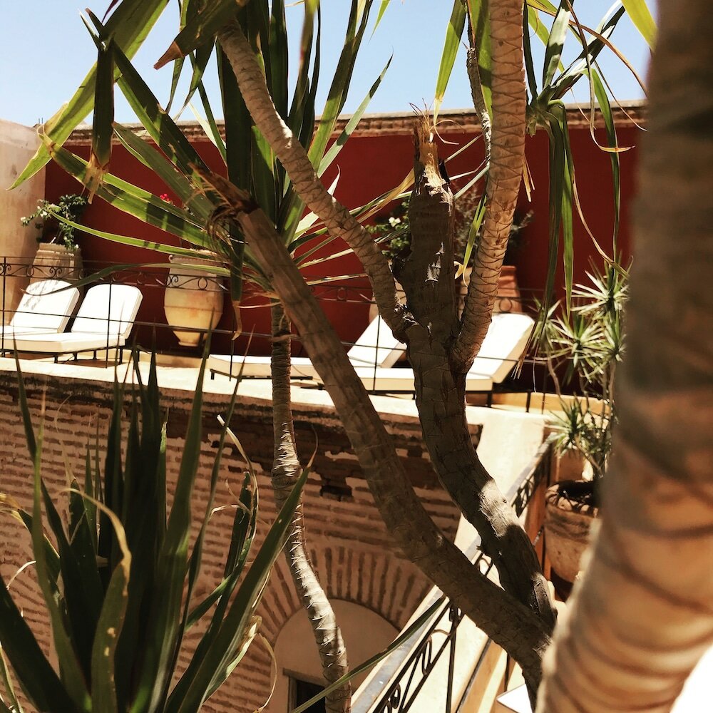 Фото Dar Chibania