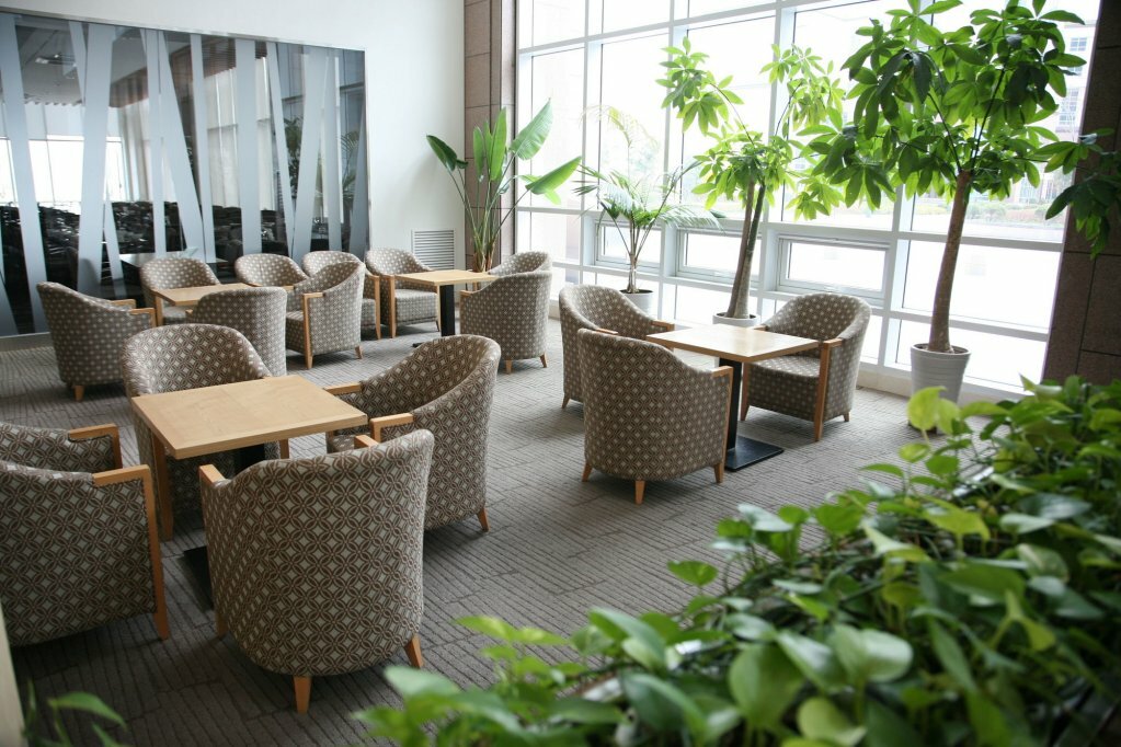 Фото The Ocean Hotel