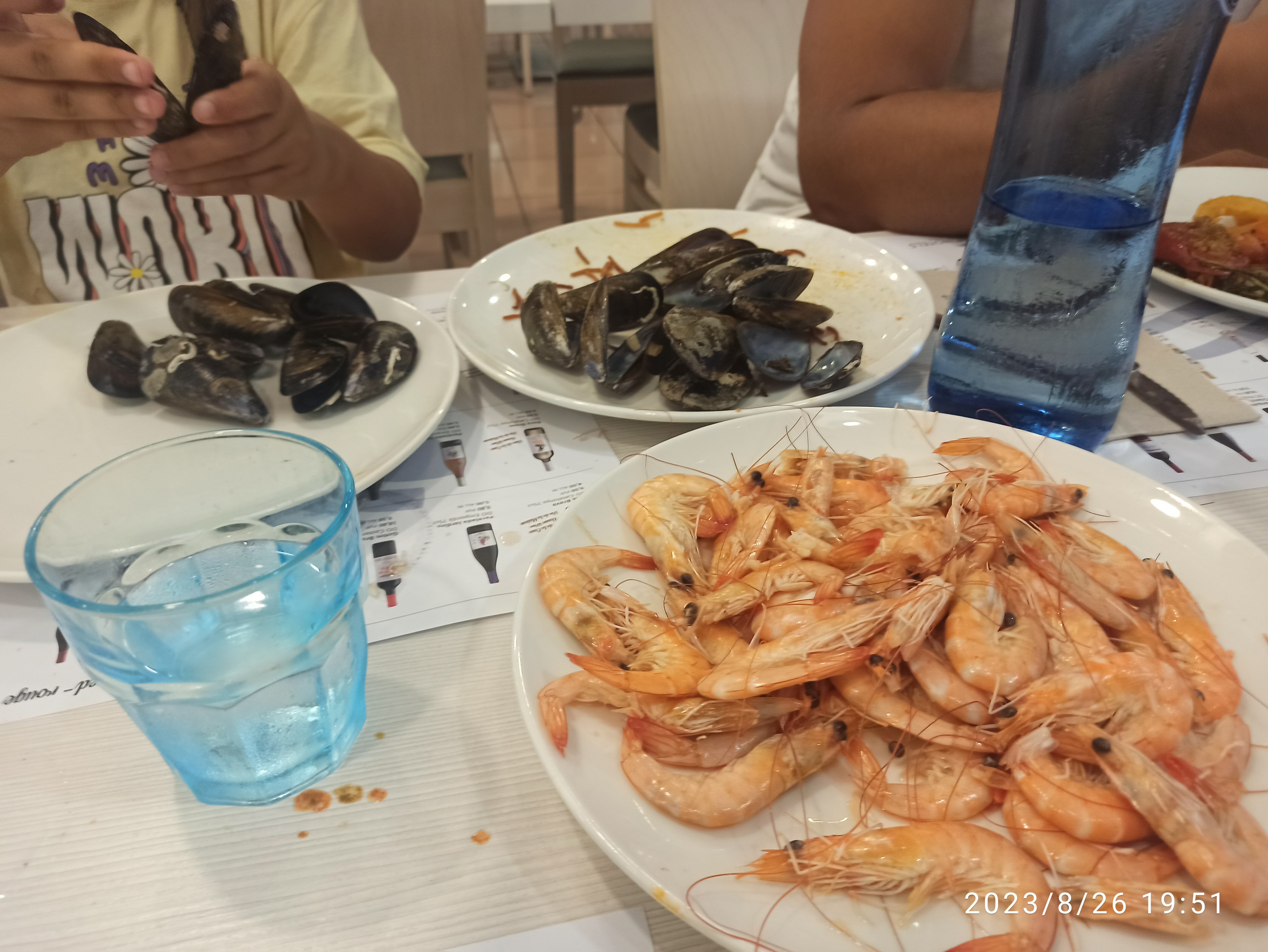 Фото Hotel Rosamar Maritim