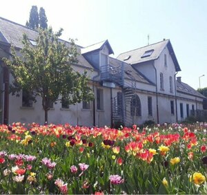 Гостиница Hostel La Maison Montreau в Монтрее