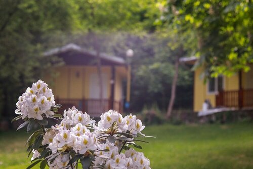 Гостиница Perfect Place for 2 or
