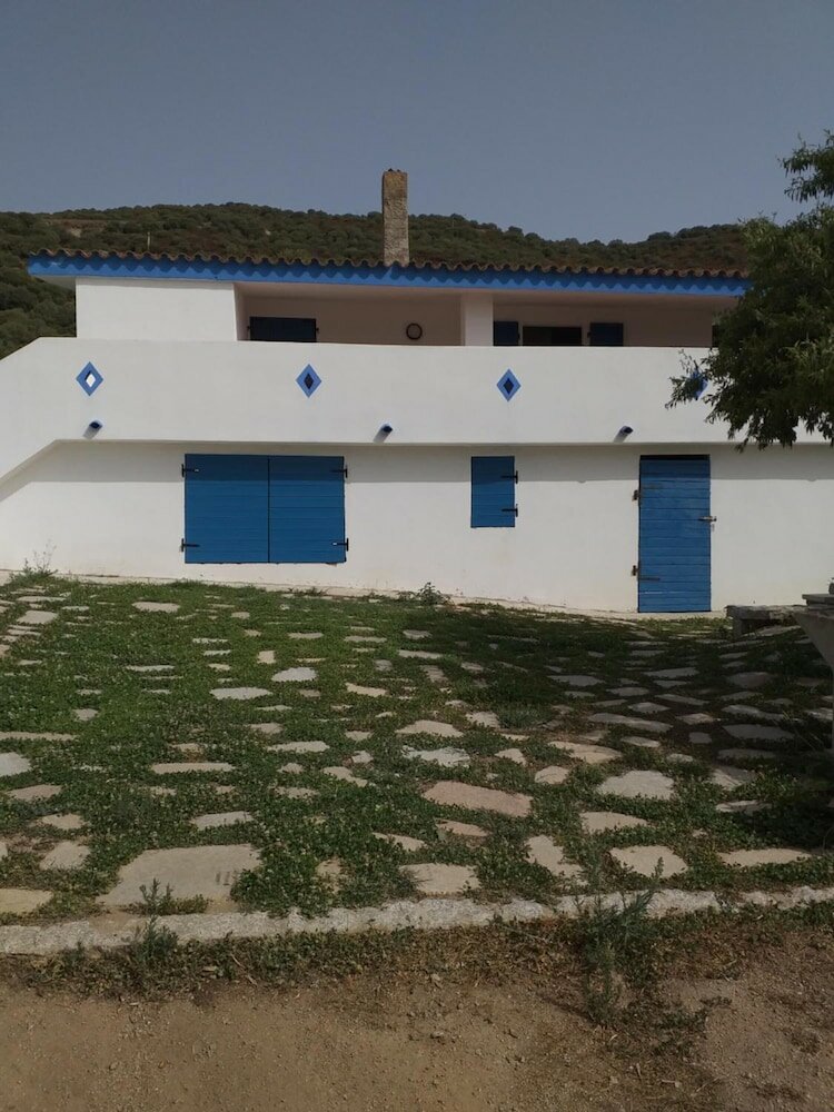 Фото Daillu
