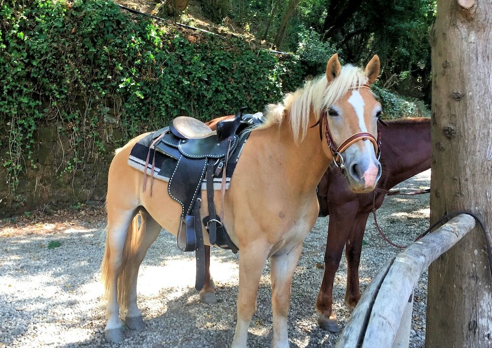 Фото Villa Musolino Country Resort