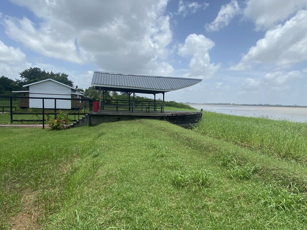 Фото Koffiemama Tree B&b