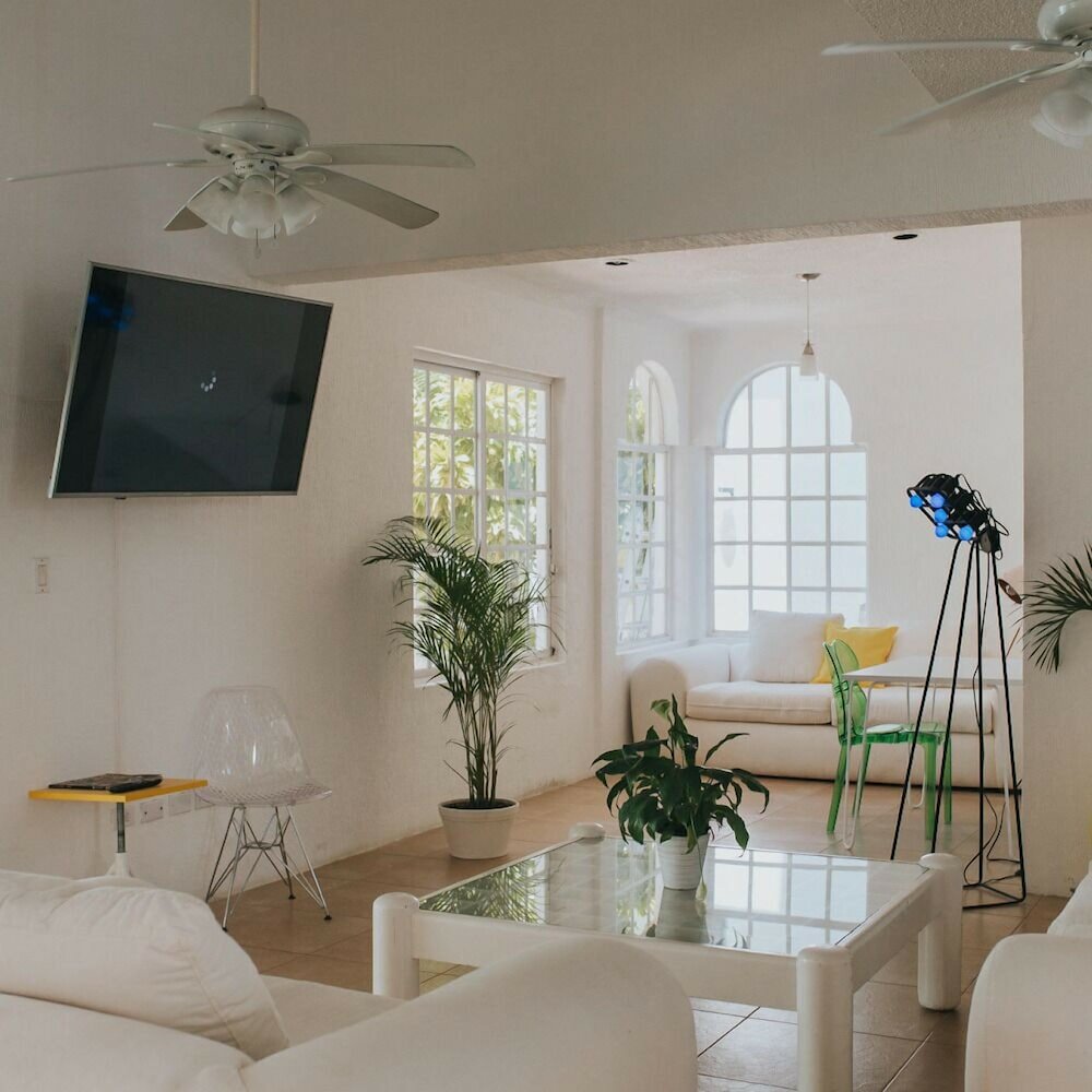 Фото Bango Mango Hostel