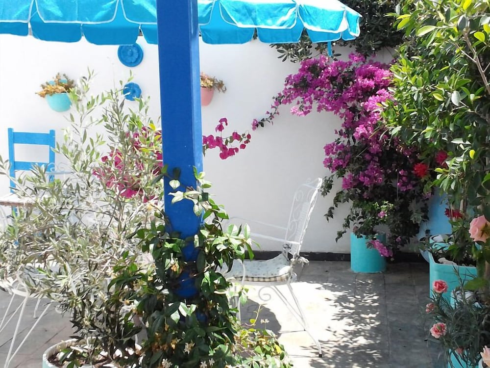 Фото Bouganville Apartments