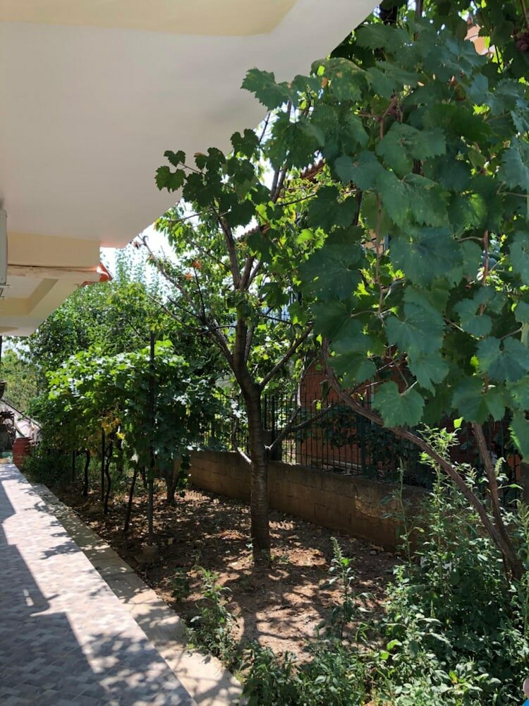 Фото Hotel Villa Ago