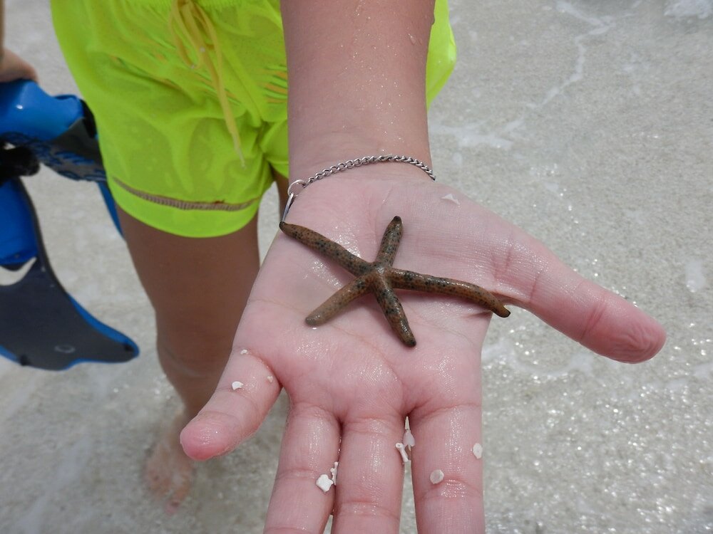 Фото Ocean Beach Inn - Maldives