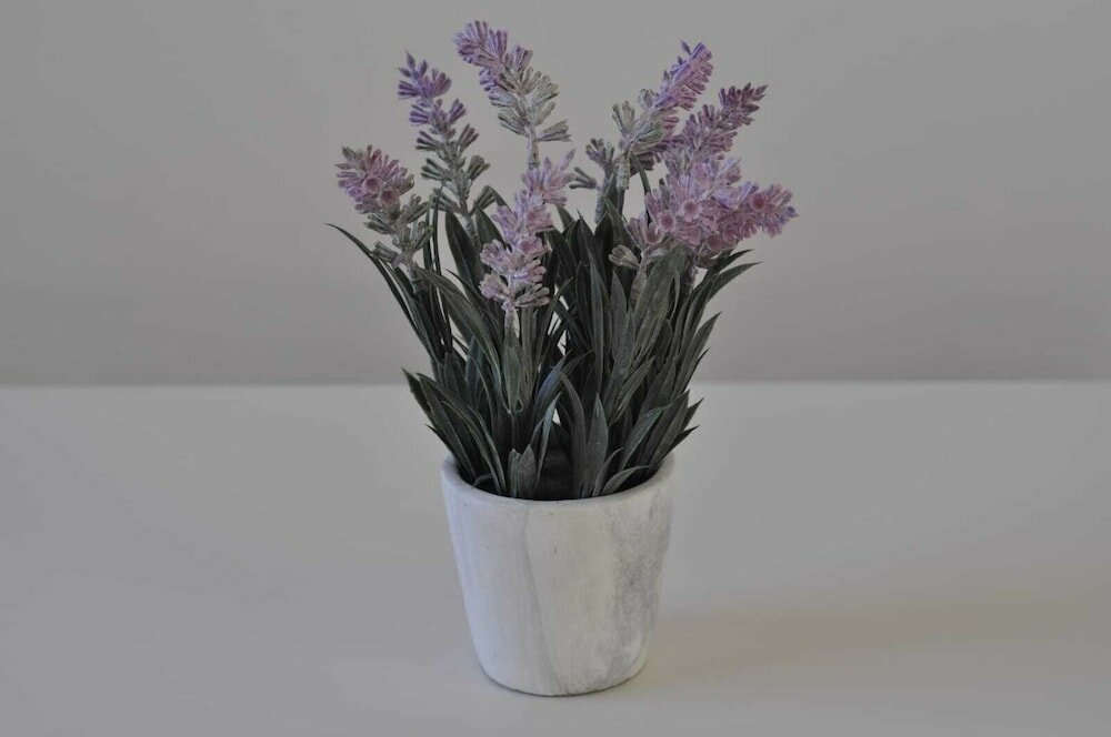 Фото The Windsor Garden Apartment