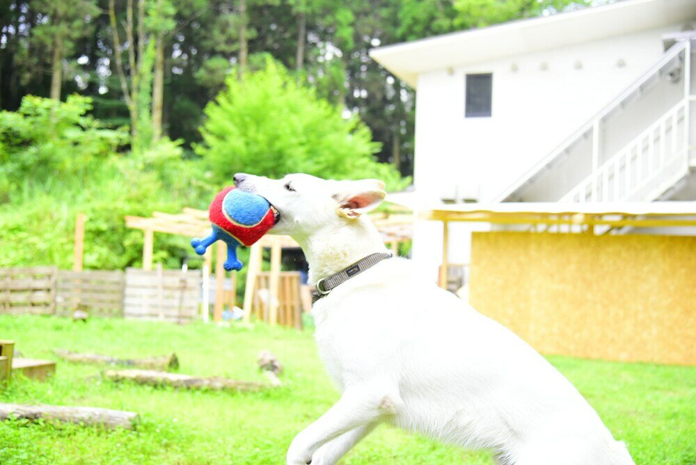 Фото Aso Daiichikan