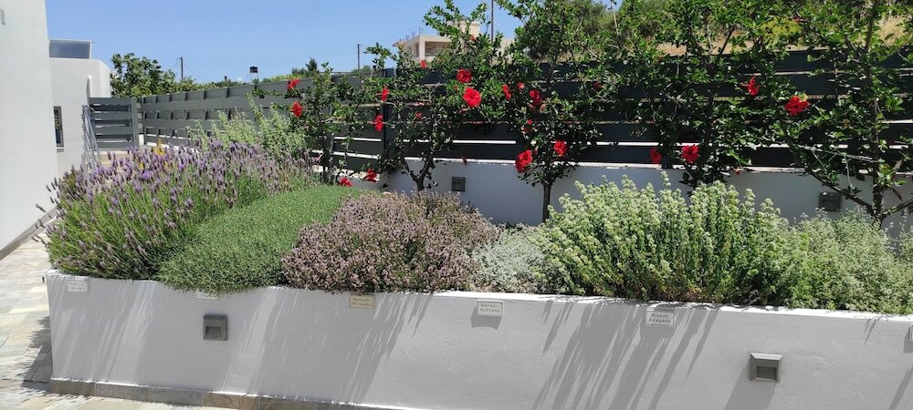 Фото Sunset Elafonisi Apartments