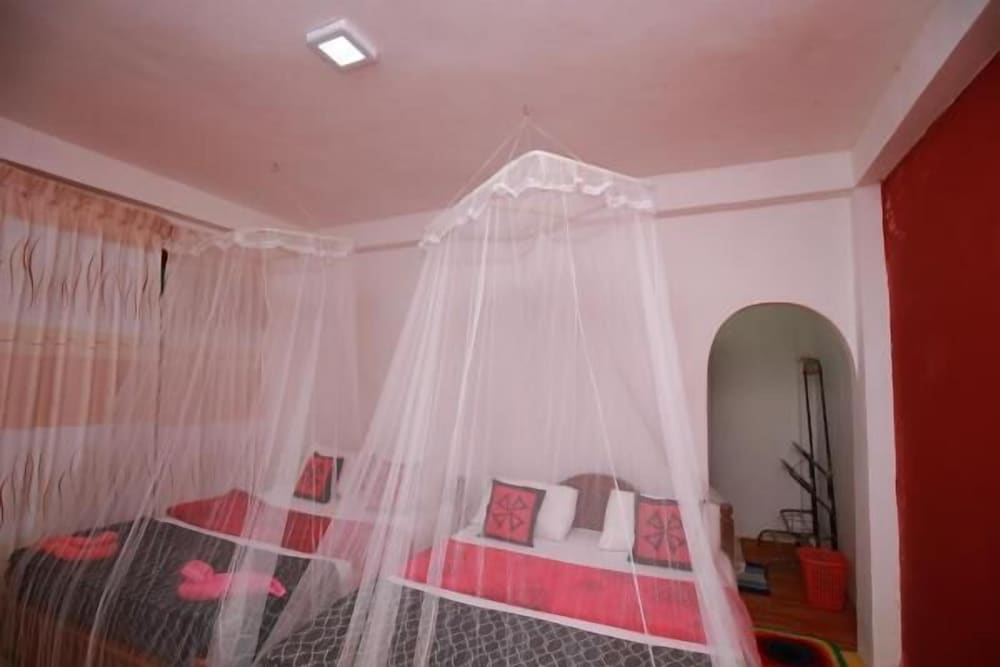 Фото Ella Forest Eco View