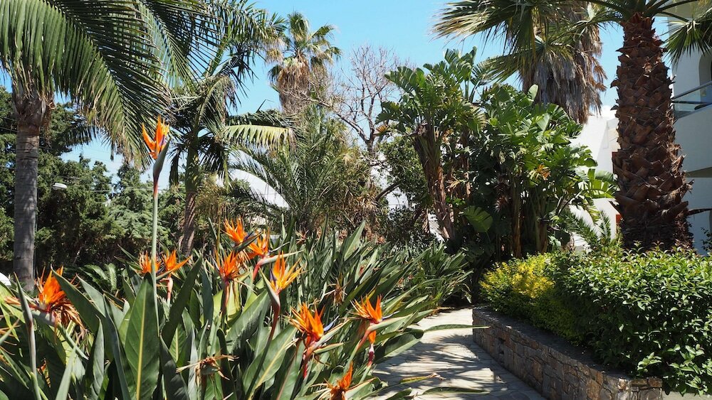 Фото Kyknos Beach Hotel & Bungalows - All Inclusive