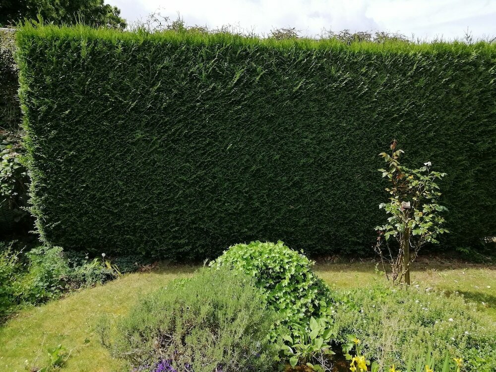 Фото Chambres D'hôte l'écureuil Proche de Mons, Pairi Daiza, à Côté de Spark'oh