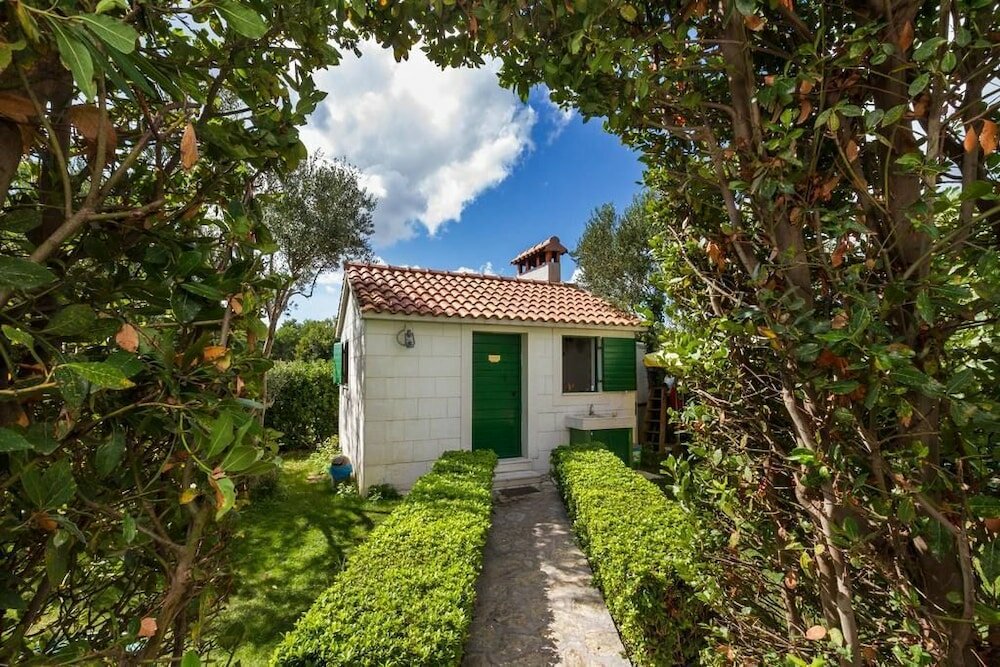 Фото Hostel Oktarin