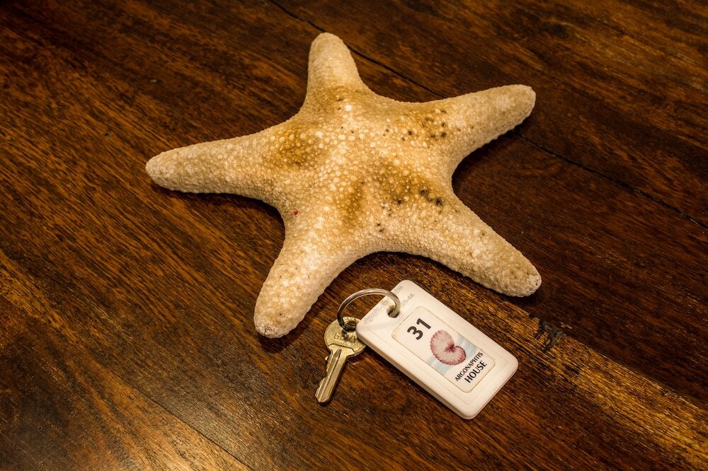 Фото Asterias Village Resort