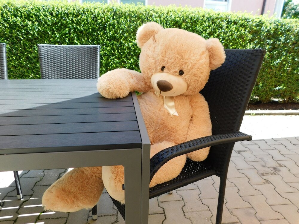 Фото Teddybärenhotel