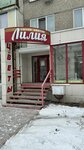 Лилия (Leningradskiy Microdistrict, 37), flower shop