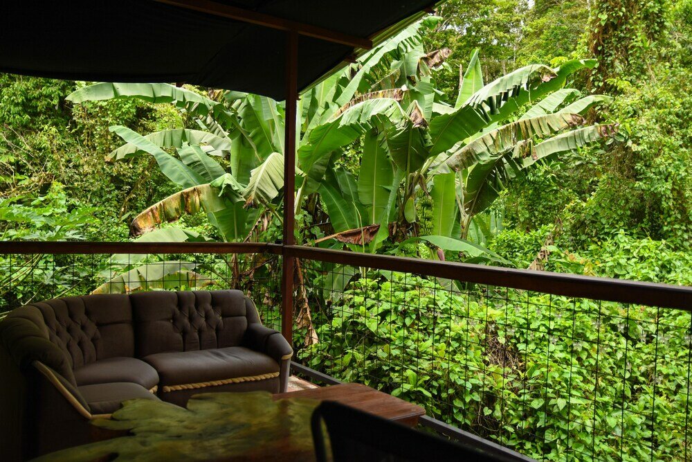 Фото Chilamate Rainforest Eco-retreat