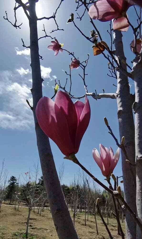 Фото East Sacred Hotel