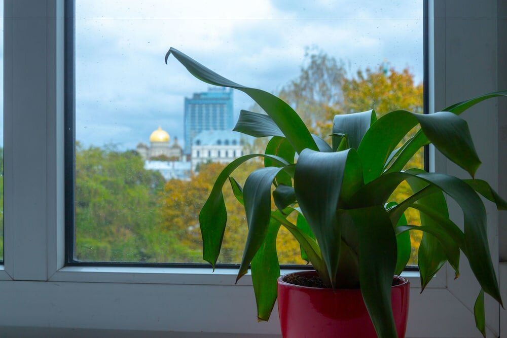 Фото Liberty Airy