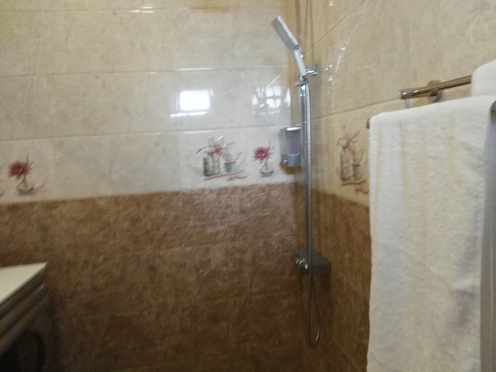 Фото Hotel Akashayaam