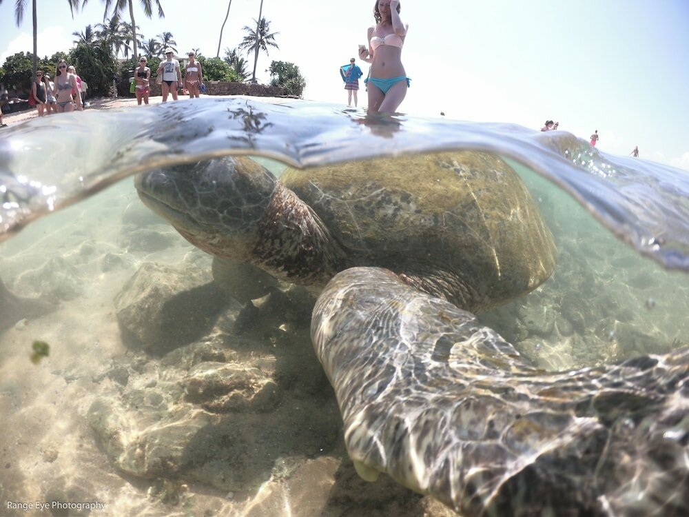 Фото International Beach Hotel and Restaurant