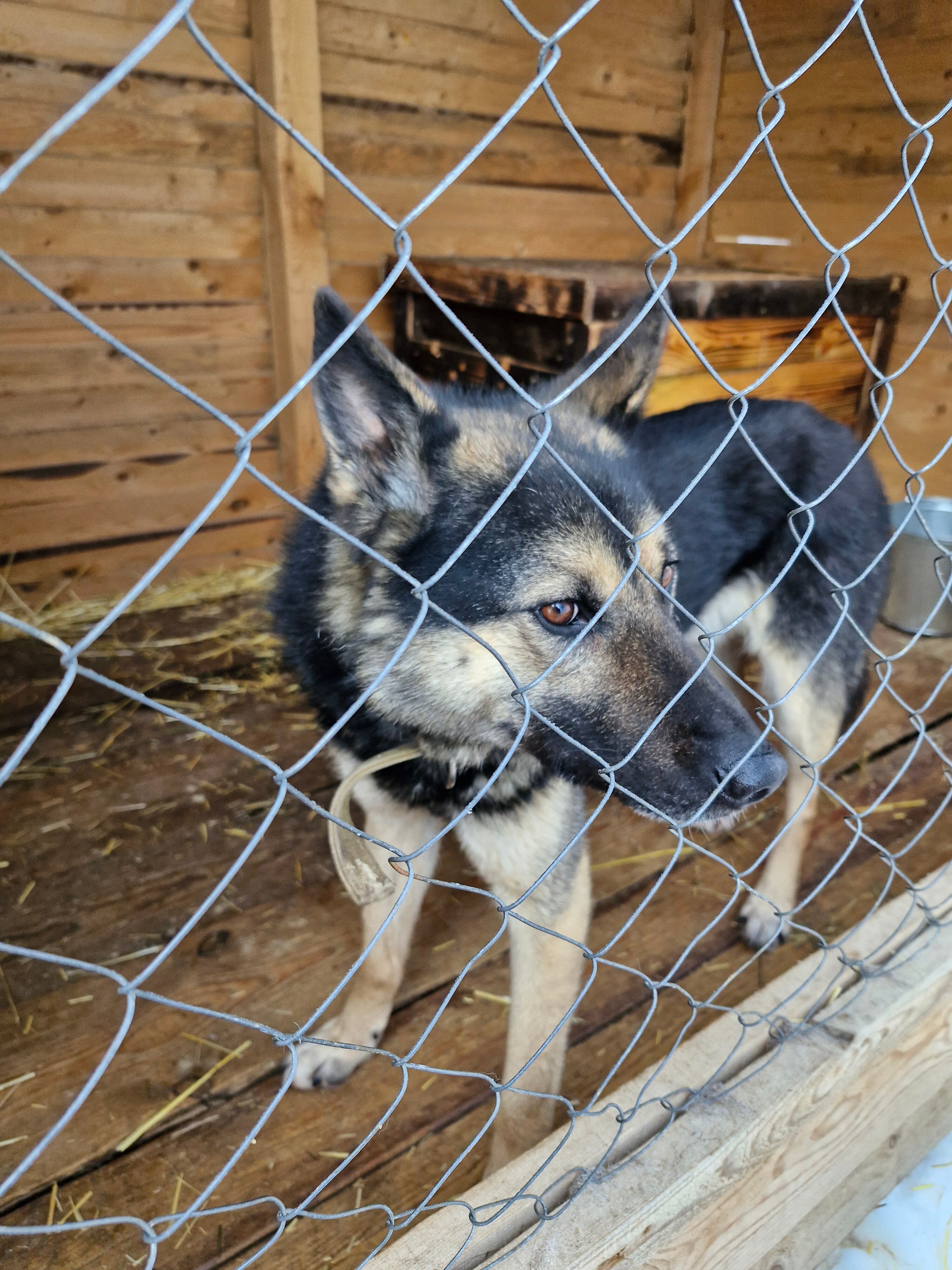 Фото Суеты. нет