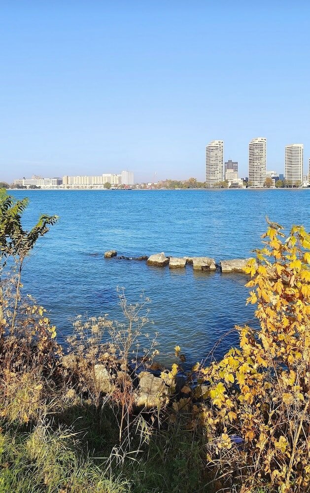 Фото Housing Albert