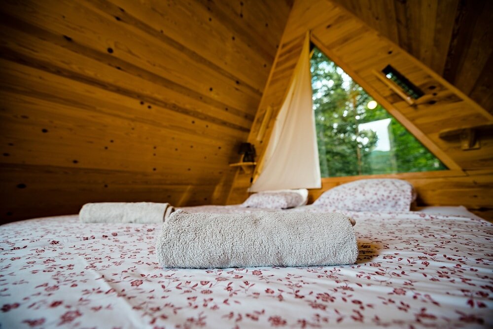 Фото Glamping Forest Edge