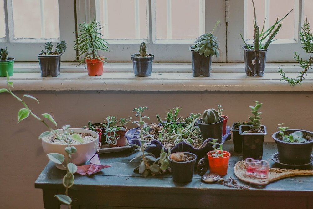 Фото Vila Santa Eulália Hostel