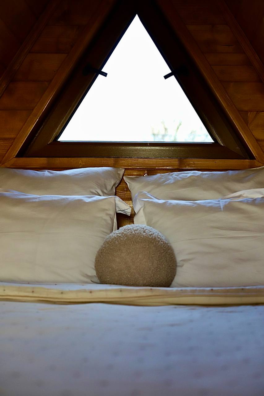 Фото Гнездо