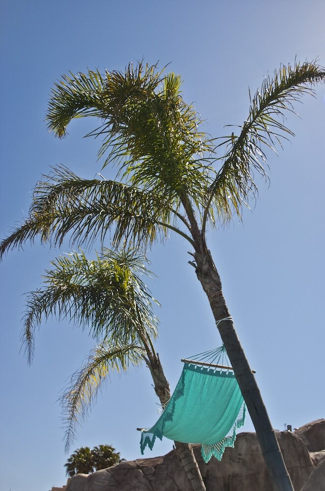 Фото Hotel Europa Splash