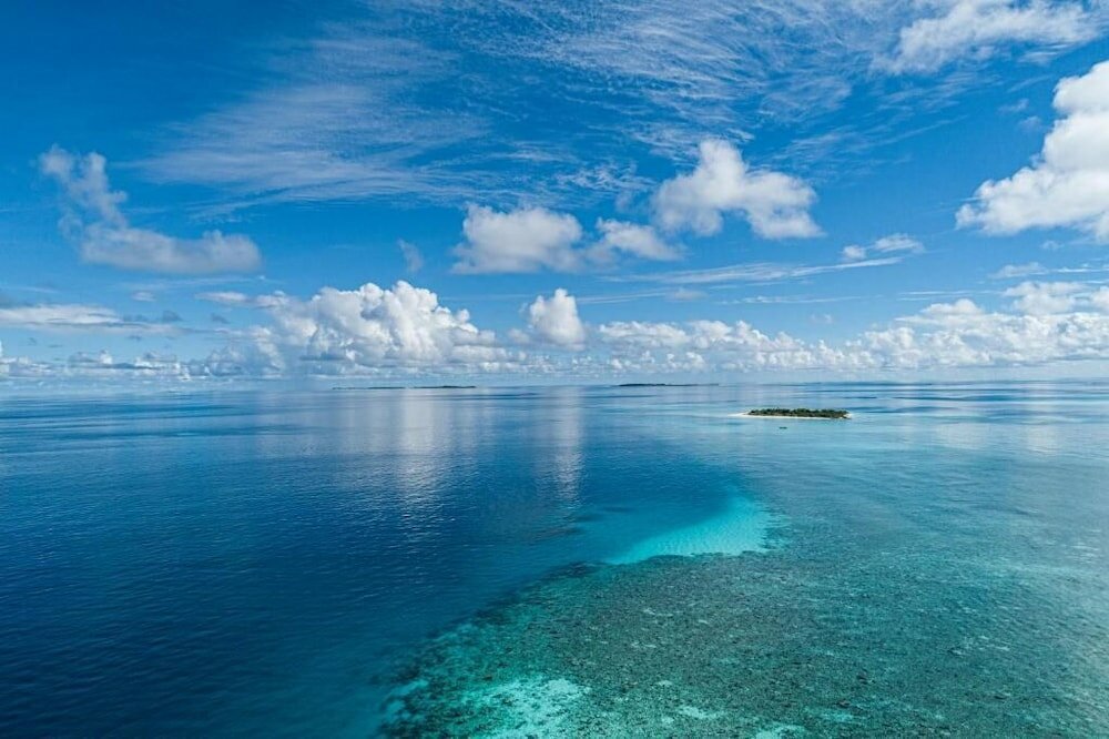 Фото One The Island