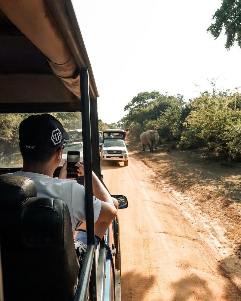 Фото Peacock Beach Resort & SPA