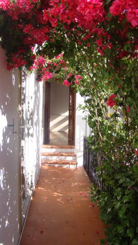 Фото Art Boutique Hotel Chamarel