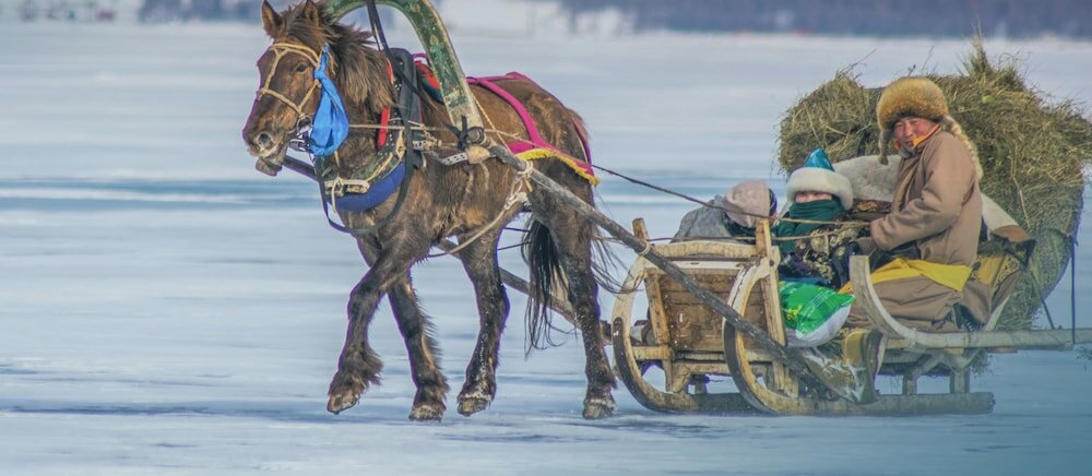 Фото Mongolian Vision Tours