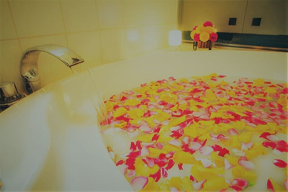 Фото La. Festa - Adults Only