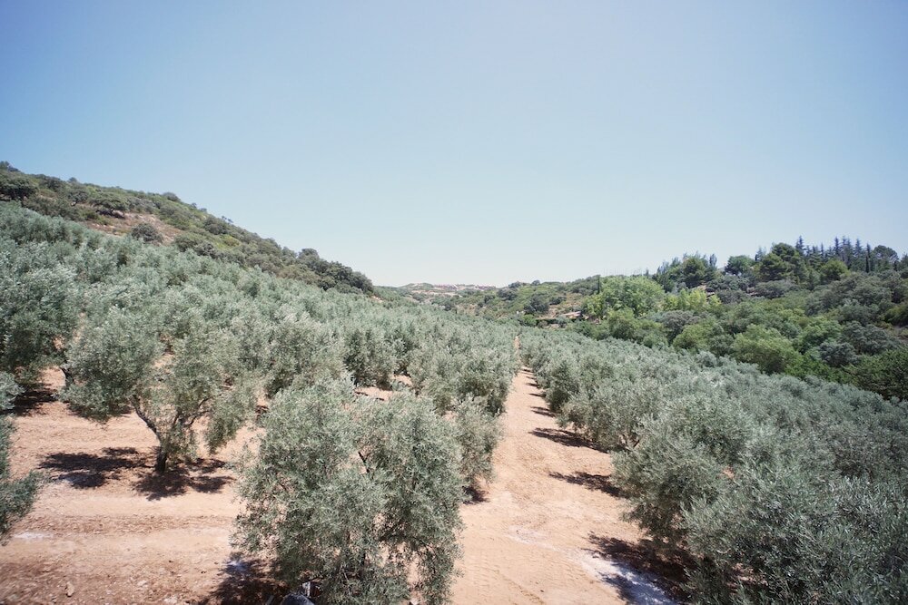 Фото Hacienda Fresneda María by Charming Stay Adults Recommended